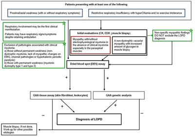 Expert opinion on the diagnostic odyssey and management of late-onset Pompe disease: a neurologist's perspective